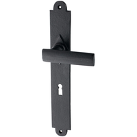 Zimmertürgarnitur Blidolf IRB